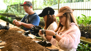 “Sowing Hope, Growing Forests” The UB Management Team Propagates 658 Pine Seeds in CALL FOR PLANTERS Series II